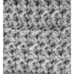 Twin Stitch